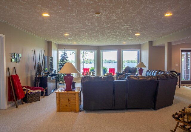 living room featuring carpet flooring