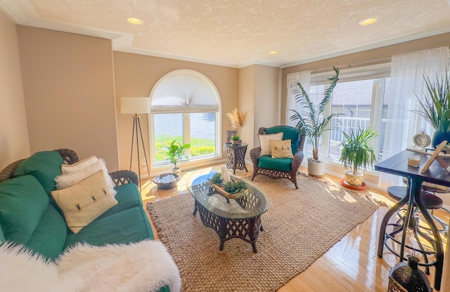 living room featuring hardwood / wood-style floors, ornamental molding, and a textured ceiling