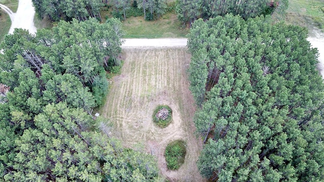TBD Vagabond Loop, Bemidji, MN 56601 - photo 1