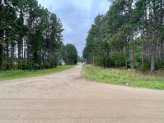 TBD Vagabond Loop, Bemidji, MN 56601 - photo 5