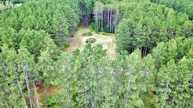 TBD Vagabond Loop, Bemidji, MN 56601 - photo 6