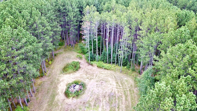 TBD Vagabond Loop, Bemidji, MN 56601 - photo 7