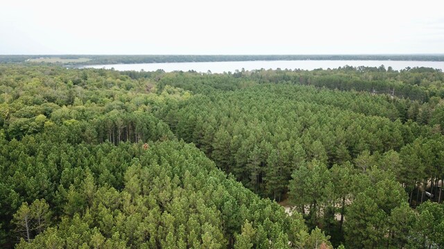 TBD Vagabond Loop, Bemidji, MN 56601 - photo 12