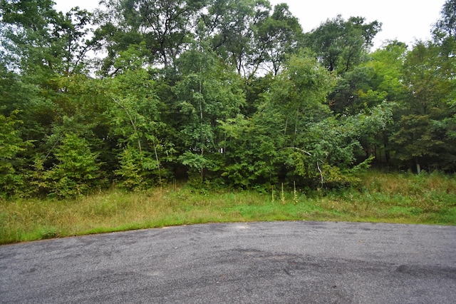 TBD Osceola Cir, Breezy Point, MN 56472