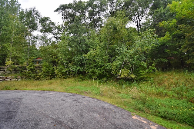 TBD Osceola Cir, Breezy Point, MN 56472