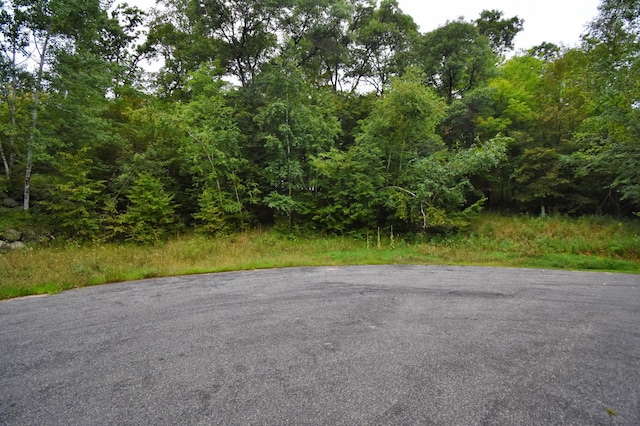 TBD Osceola Cir, Breezy Point, MN 56472