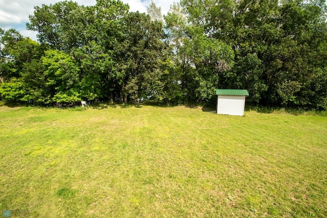 view of yard with a storage shed