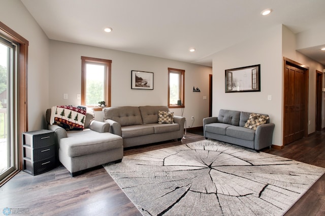 living room with hardwood / wood-style flooring