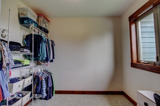 view of spacious closet