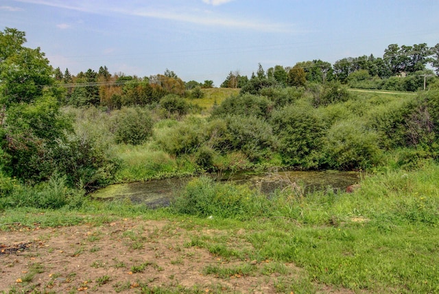 view of local wilderness