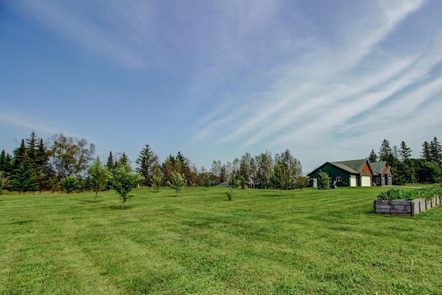 view of yard with a garden