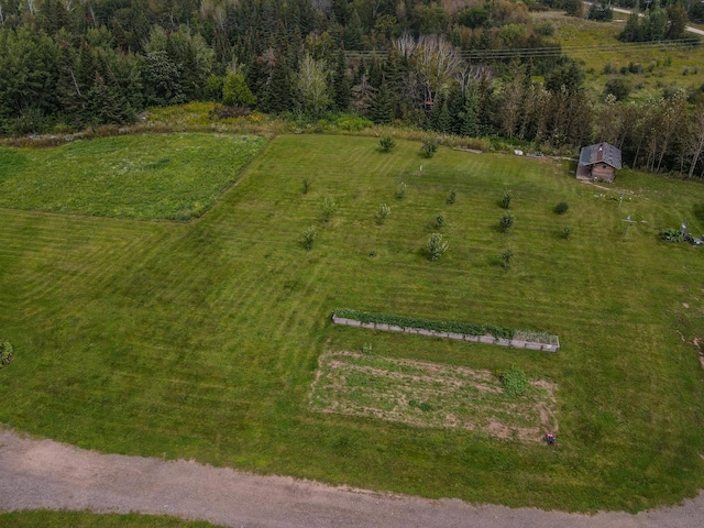 drone / aerial view featuring a rural view