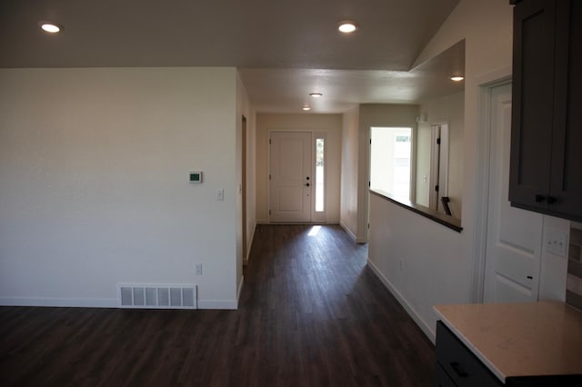 entryway featuring vaulted ceiling and dark hardwood / wood-style floors