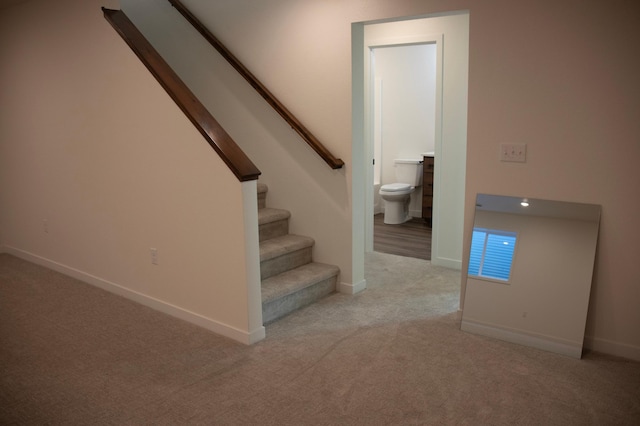 staircase with carpet floors