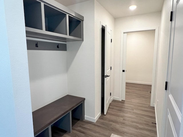 mudroom with wood-type flooring