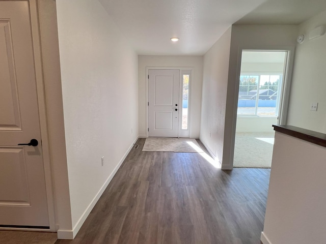 entrance foyer featuring dark wood-type flooring