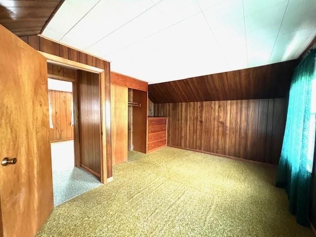 bonus room featuring wood walls and carpet floors