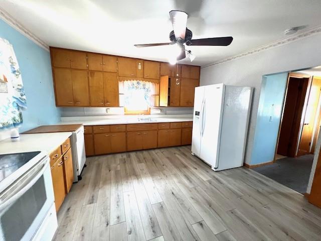 kitchen with ceiling fan, light hardwood / wood-style flooring, white refrigerator with ice dispenser, sink, and stove