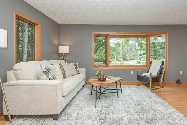 living area with baseboards and wood finished floors