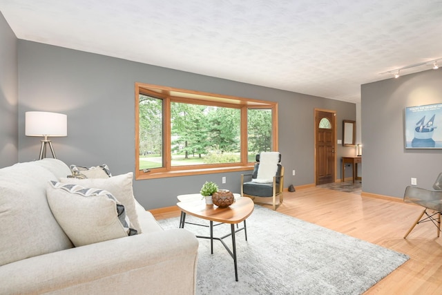 living area featuring baseboards, light wood-style floors, track lighting, and a textured ceiling