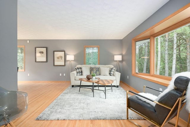 living area featuring baseboards and wood finished floors