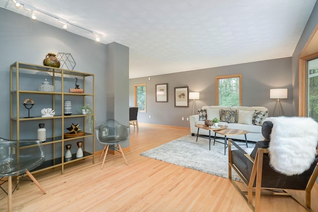 living area featuring a healthy amount of sunlight and wood finished floors