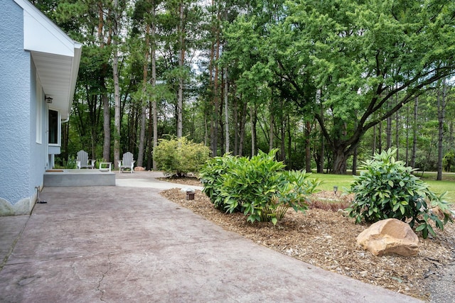 view of yard with a patio area