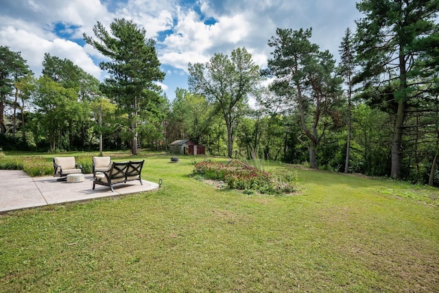 view of yard with a patio, a storage unit, and an outdoor structure