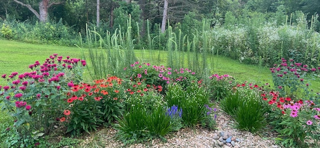 view of yard with a wooded view