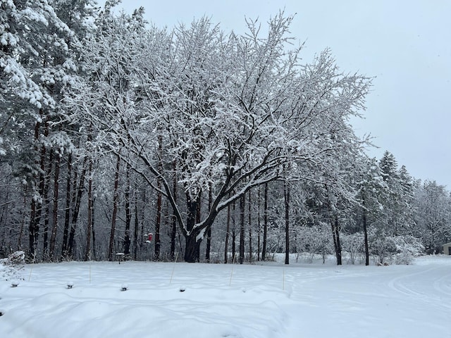 view of property's community with a view of trees