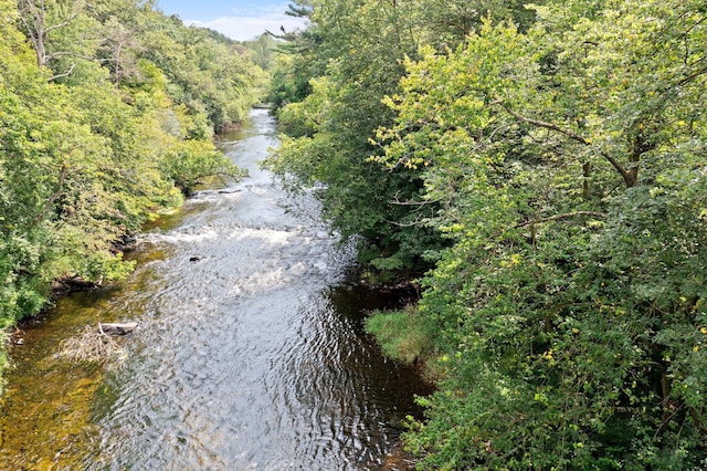 view of water feature with a view of trees