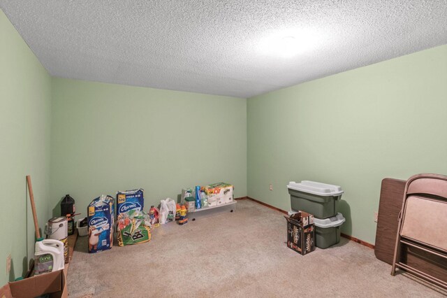 playroom featuring light carpet and a textured ceiling