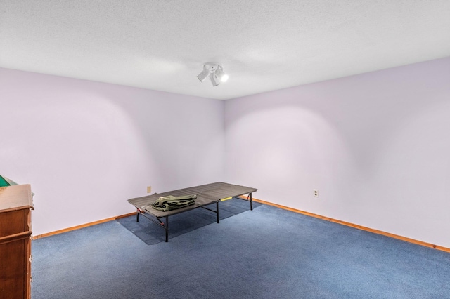 interior space featuring carpet floors, baseboards, and a textured ceiling