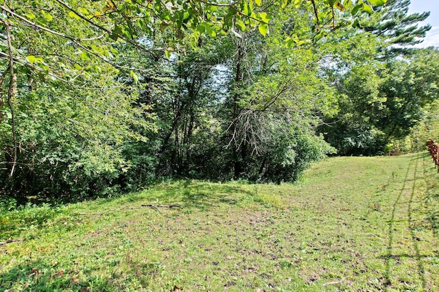 view of landscape with a view of trees