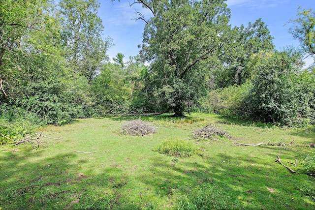 view of yard featuring a wooded view