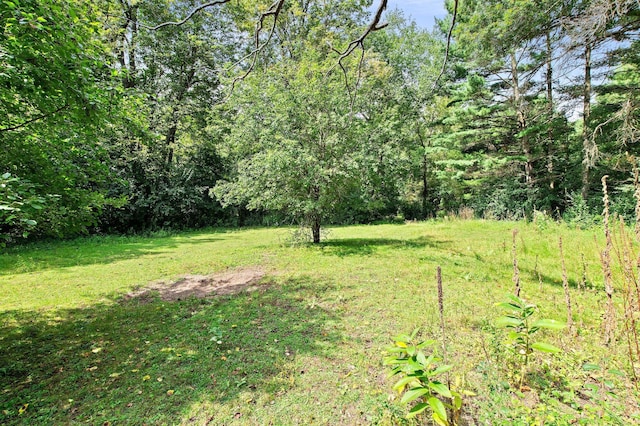 view of yard featuring a wooded view