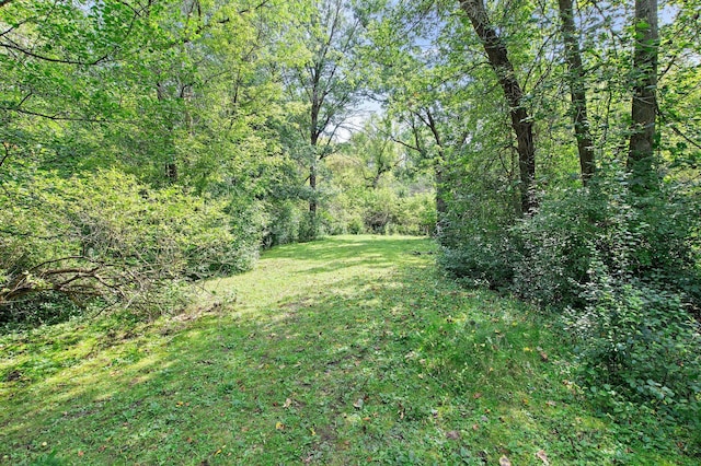 view of yard featuring a forest view