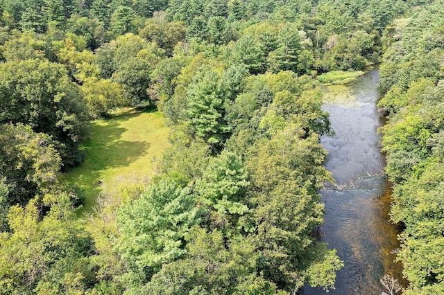 drone / aerial view featuring a water view and a forest view