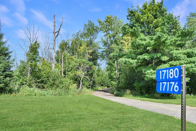 view of community featuring a yard