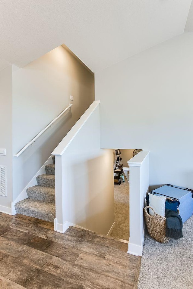 stairway featuring carpet