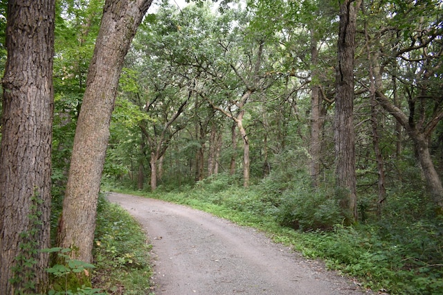 000 River Rd SE, Clear Lake Twp MN, 56304 land for sale