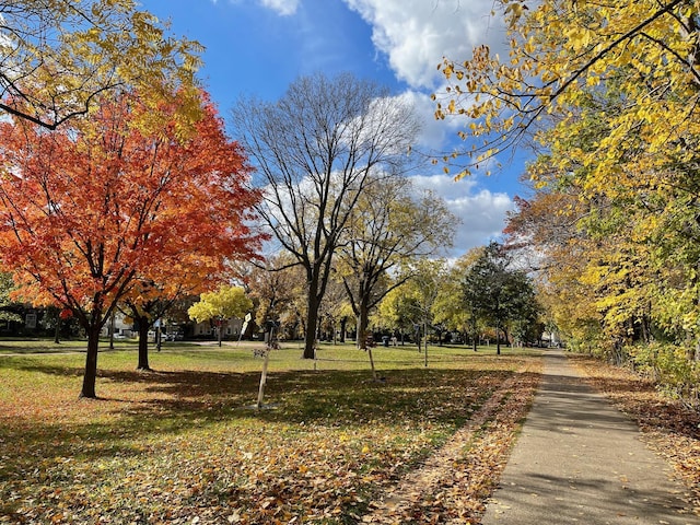 view of property's community with a yard