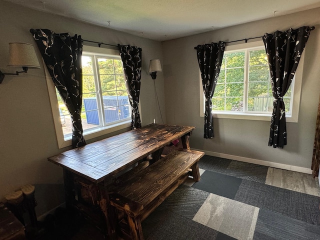 dining room featuring baseboards and wood finished floors