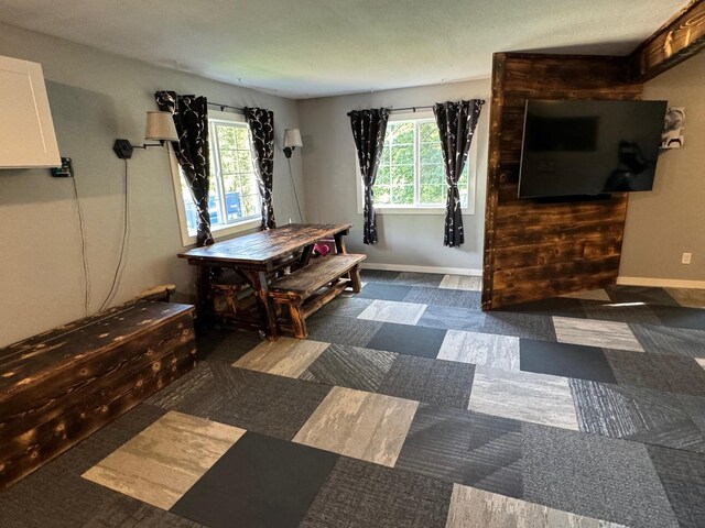 interior space featuring plenty of natural light and baseboards