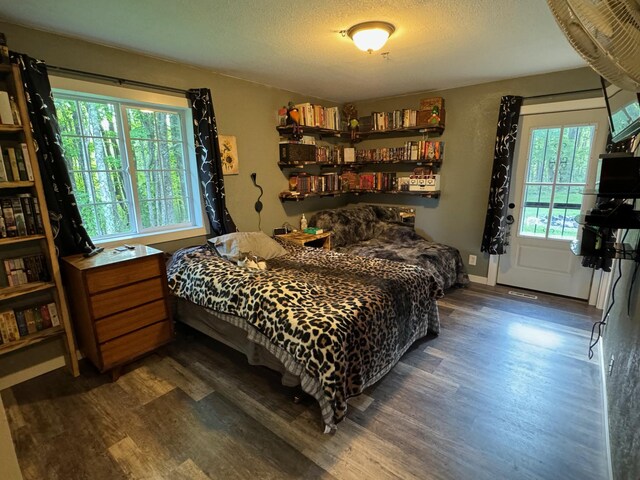 bedroom with dark wood-style floors, multiple windows, and a textured ceiling