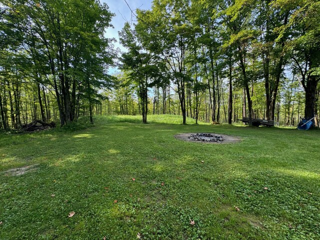 view of yard with an outdoor fire pit