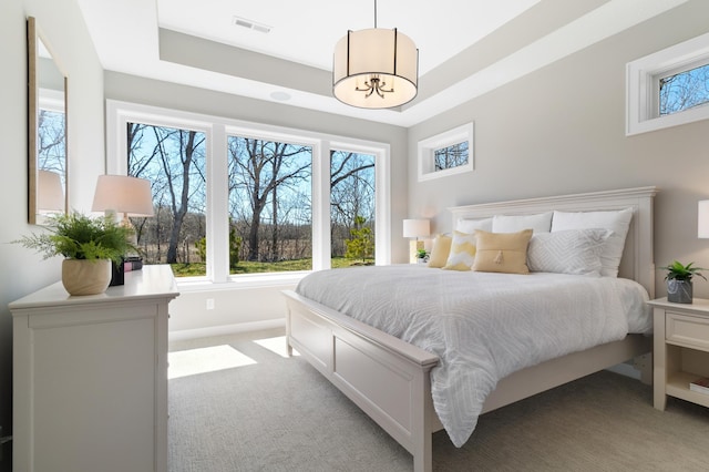 carpeted bedroom featuring a tray ceiling