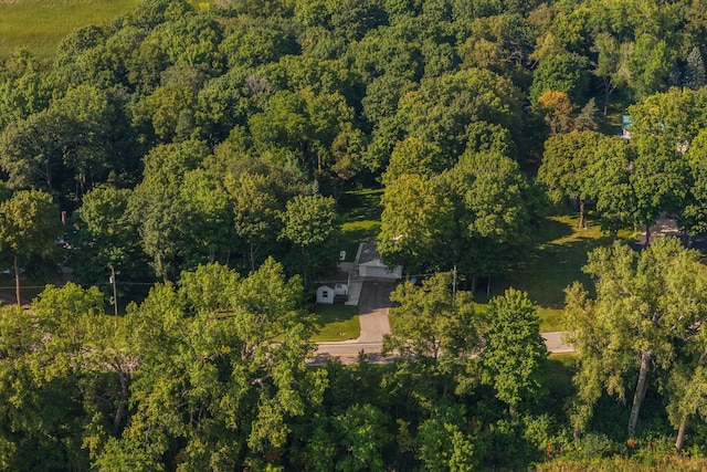 bird's eye view