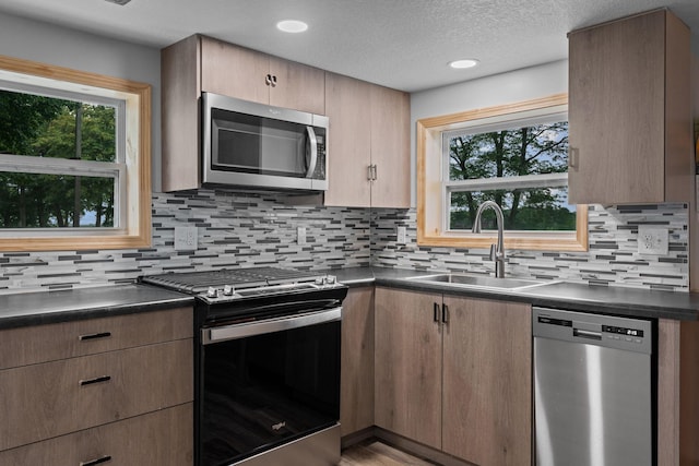 kitchen featuring a healthy amount of sunlight, backsplash, stainless steel appliances, and sink