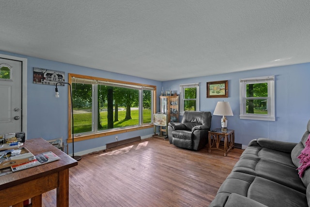 living room featuring a healthy amount of sunlight, wood-type flooring, and a textured ceiling